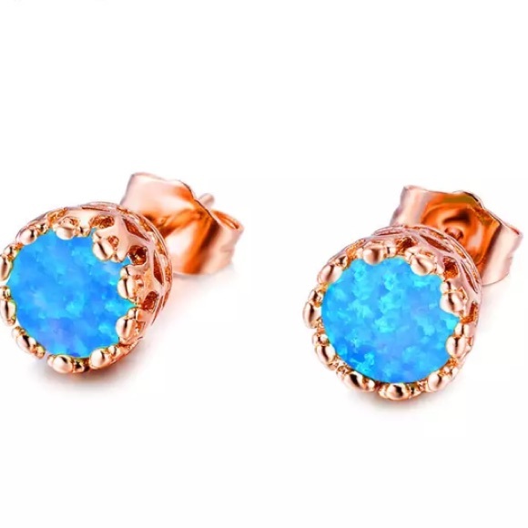 Jewelry - Rose Gold Stud Earrings